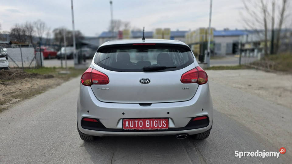 Kia Ceed klima zarejestrowana salon polska LEDY światła do jazdy dziennej Lębork