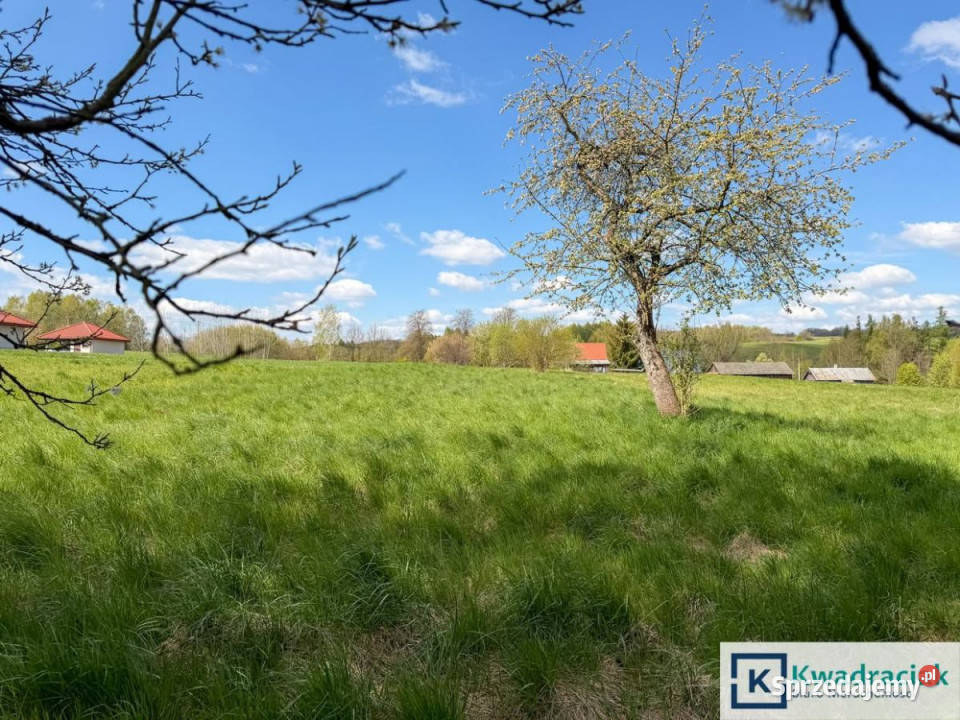 Sprzedam dom wolnostojący Dębowiec 90m2