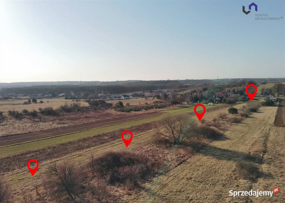 Sprzedam grunt 9729m2 Siemonia Kościuszki Sprzedaż