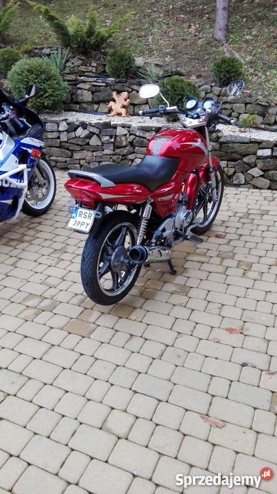 GB Motors Street 7250 ccm łańcuch podkarpackie Lutcza