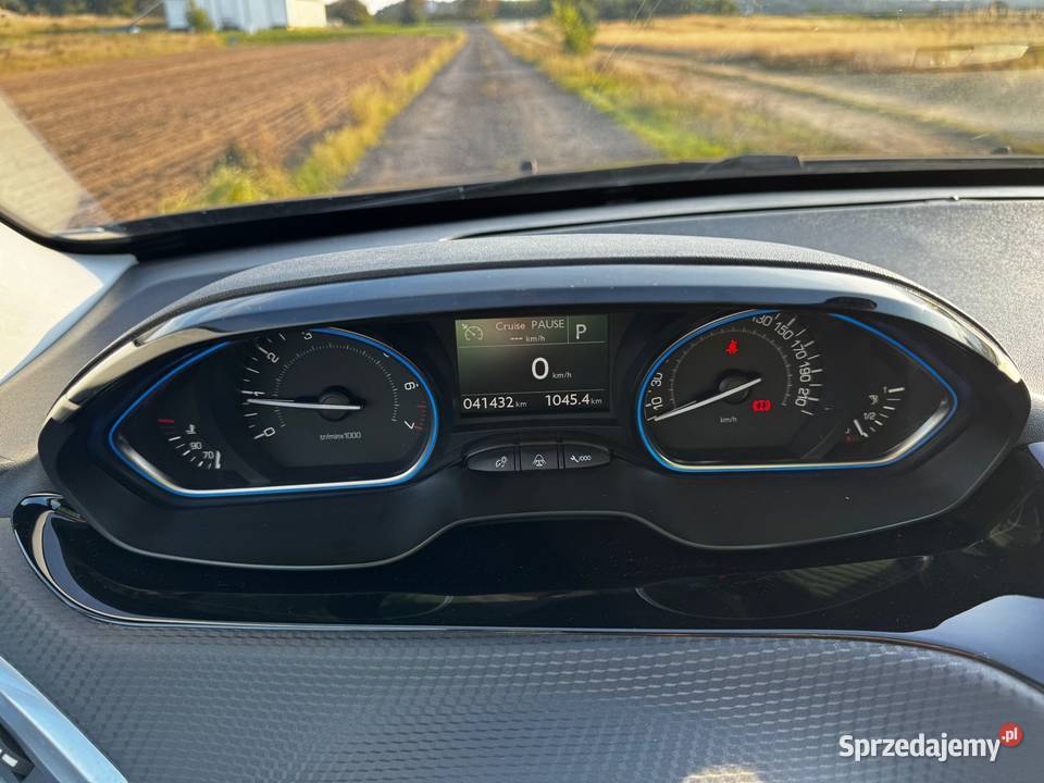 Peugeot 2008 AUTOMAT benzyna 2008 Głodno