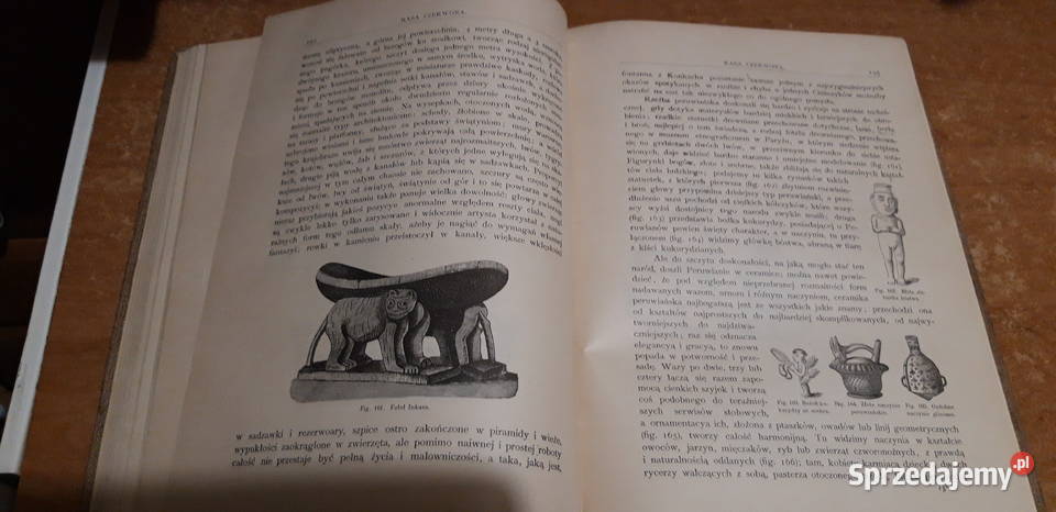 Zarys Dziejów Malarstwa13 Narkiewicz wielkopolskie Iwno