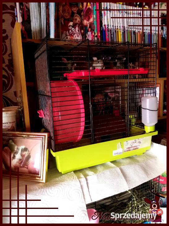 Karo klatka z wyposażeniem myszki 35x24x36 Ruda Śląska sprzedam