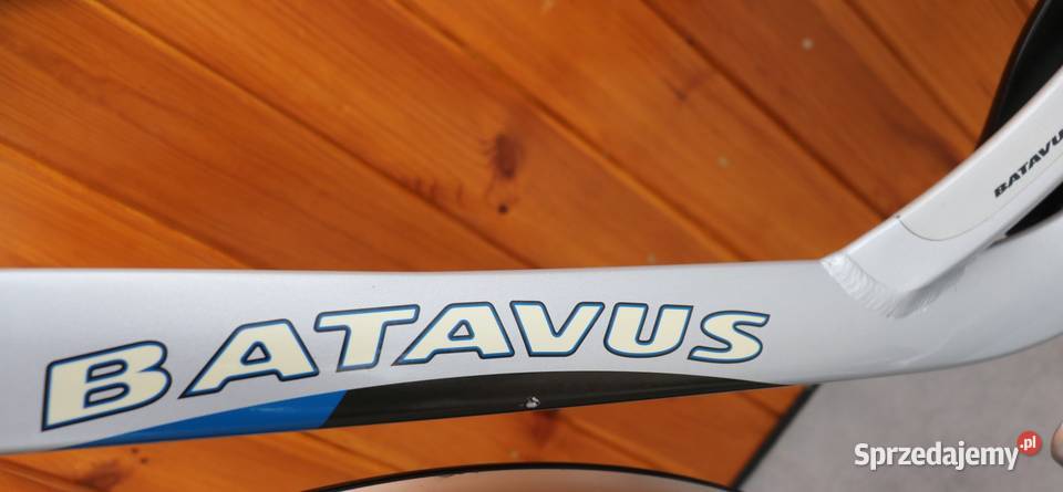 Rower damski Batavus Weekend D 48 RATY Miejskie sprzedam