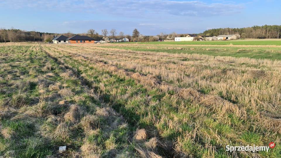 Działki z warunkami zabudowy w Rokitnicy