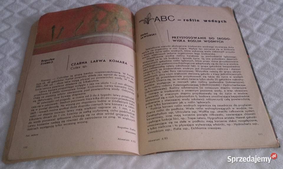 Akwarium 1983 4 76 Książka Książki i Podręczniki Czeladź