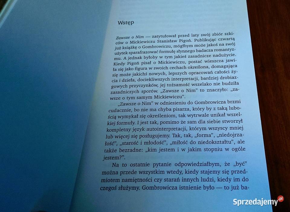 Natura i teatr 16 tekstów o Gombrowiczu Jerzy Rok wydania 2007 Gdańsk sprzedam