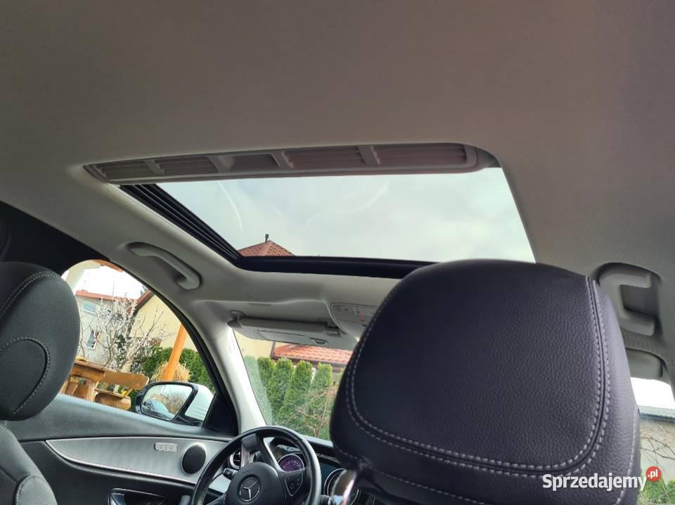 Salon Polska 1wł E250 211