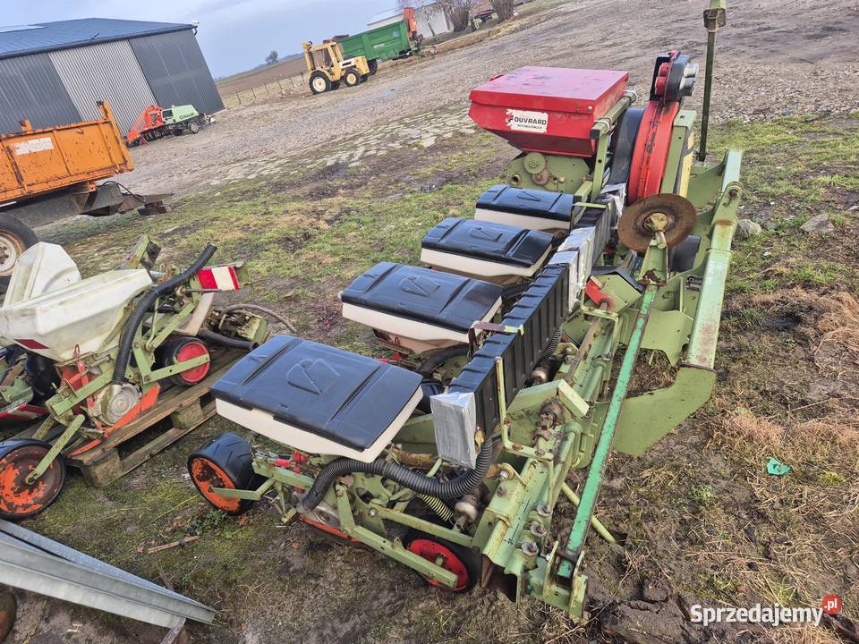 Siewnik do kukurydzy Amazone 8 x talerzowy Nodet lubelskie Okrzeja