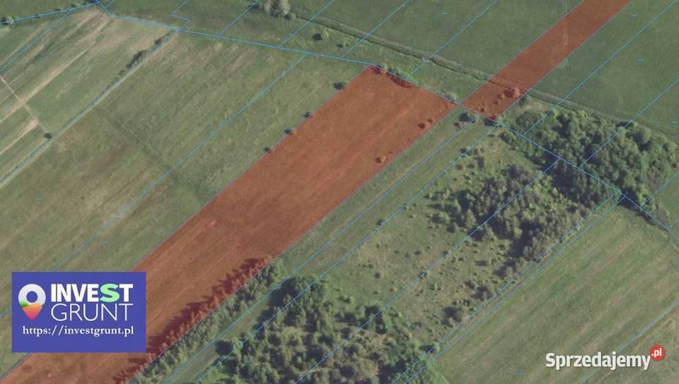 644 ha przetarg na dzierżawę gruntów rolnych 64400m2 Strażnik