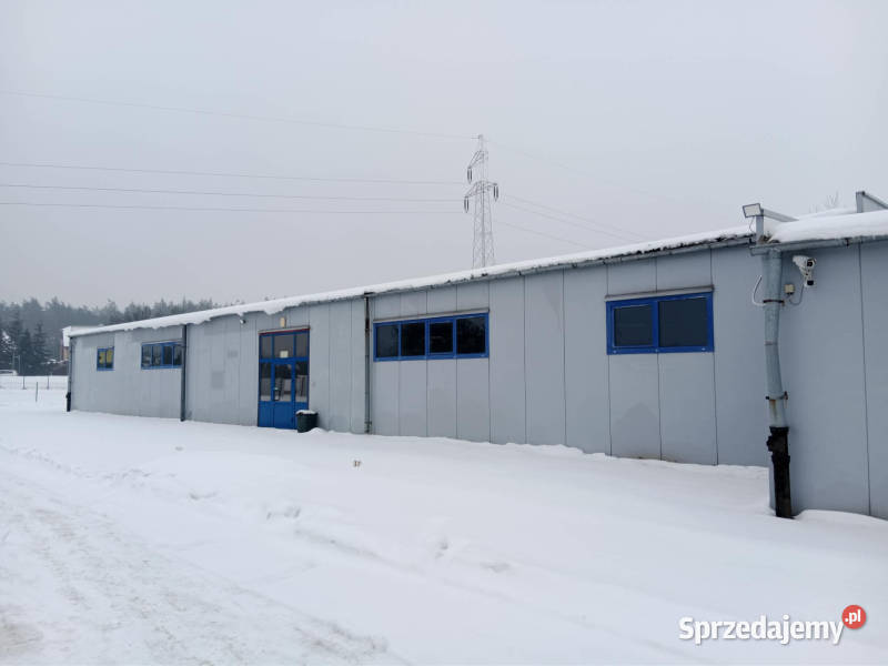 Syndyk masy upadłości sprzeda halę w Ełku Ełk