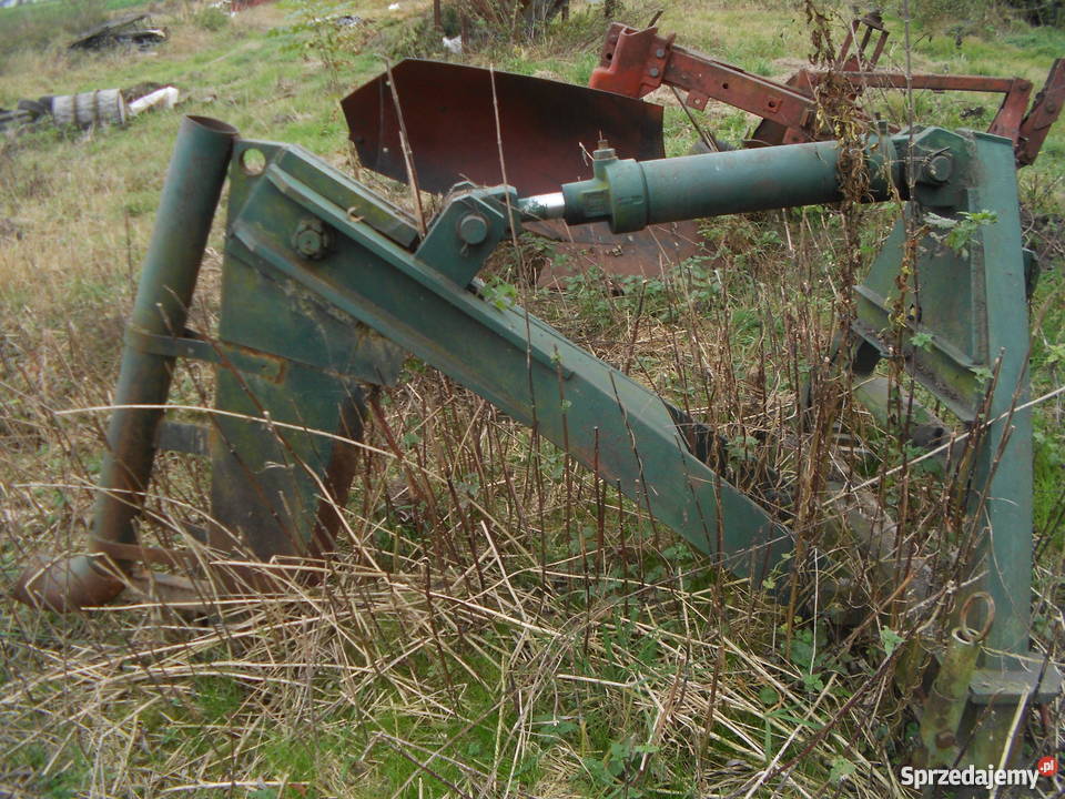 głębosz nieuszkodzony Gać