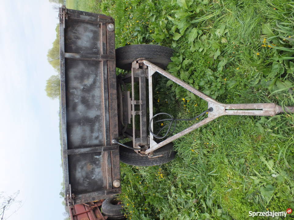 Przyczepa 35 4 tony sztywna Kostrzyn