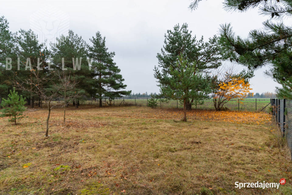 Grunt 934m2 Jachranka