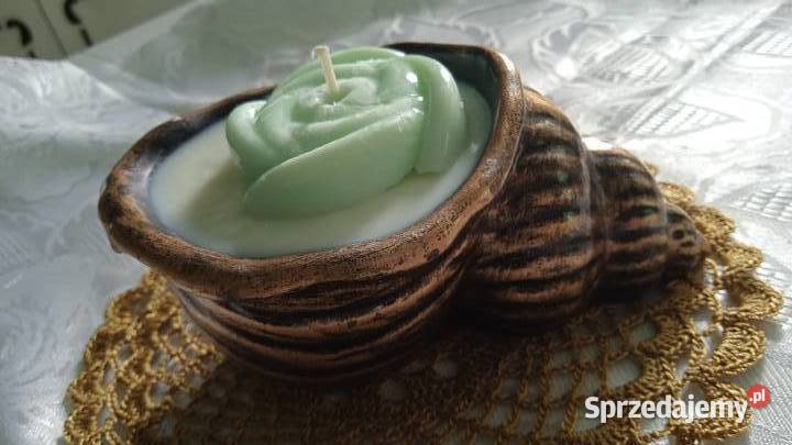 DUŻA ŚWIECA SOJOWA W ZŁOCONEJ MUSZLI wielkopolskie Piła