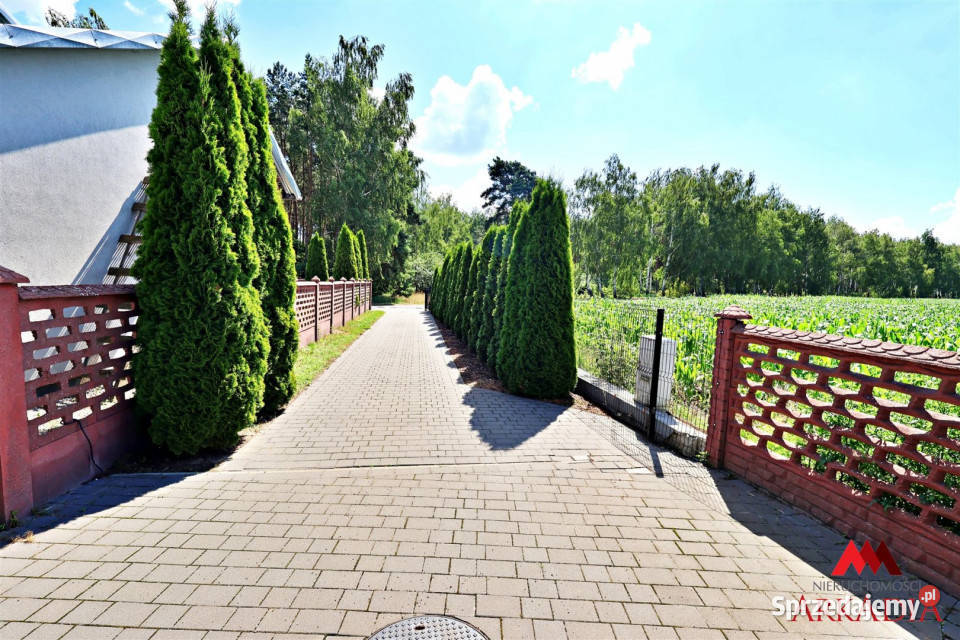 Dom 17248m2 Holendry Bytońskie