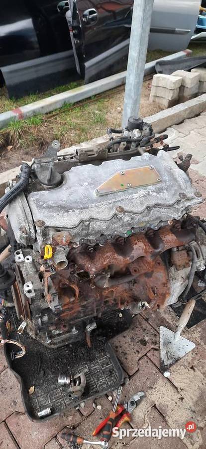 Silnik Nissan Almera n16 22 Di 110 Silniki i osprzęt Szczecin sprzedam