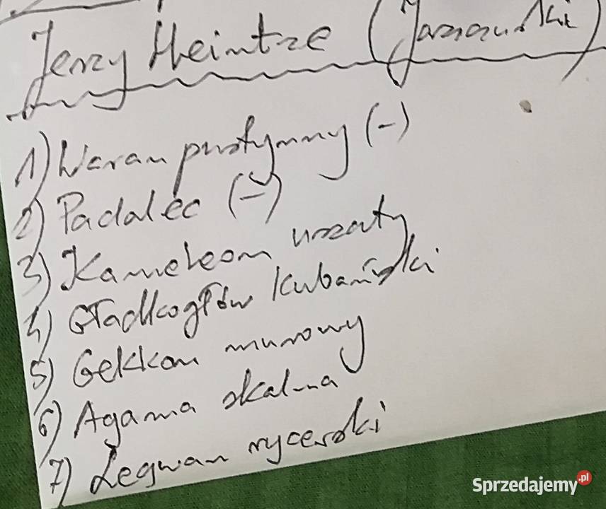 Jerzy Heintze Jaszczurki Kolekcje