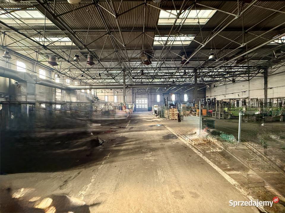 Wynajem Hali Magazynowej 3 S7 Magazyn z Obsługą Biznes i Przemysł warmińsko-mazurskie Elbląg