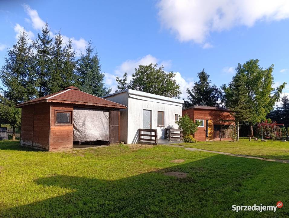Dom lesie Działka 1800 m2 miasta 15 Liczba pokoi 3 wielkopolskie Arkuszewo sprzedam