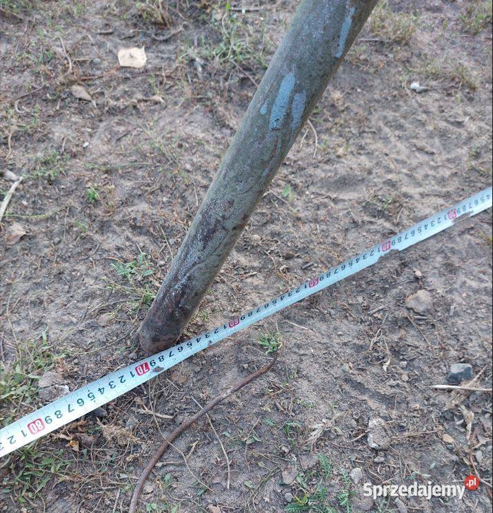 Kobyłka kozioł warsztatowy mazowieckie Pniewy