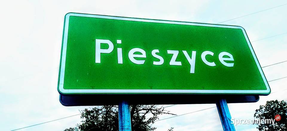 Wynajmę Domek GÓRY SOWIE Pieszyce sprzedam