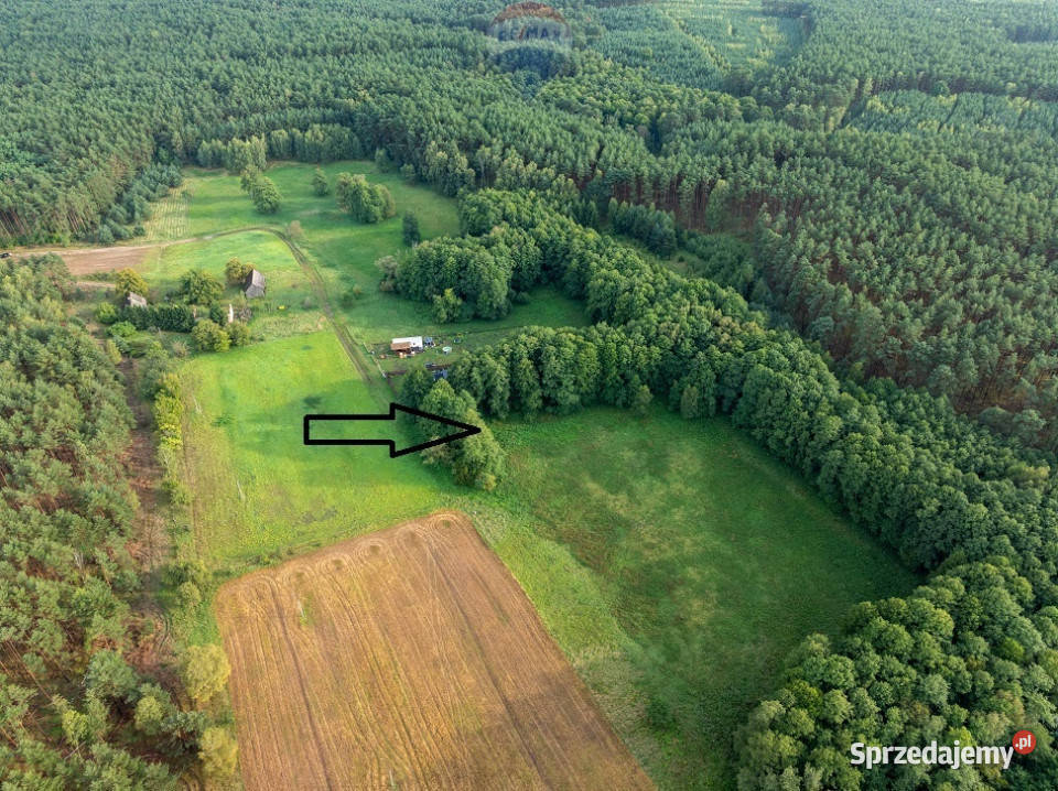 Działka budowlana Pąchy z DWZ2 domy