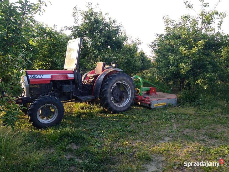 Massey Ferguson 364 v sadowniczy sadownik do Massey Ferguson