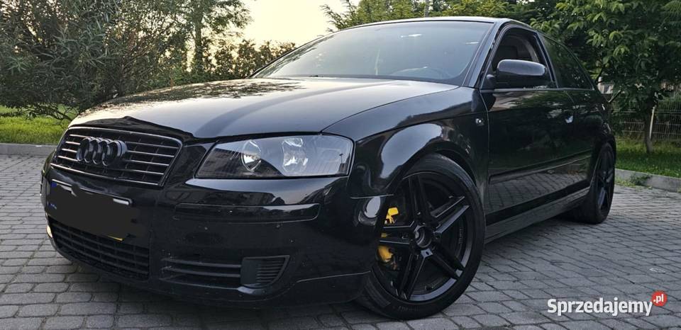 Sprzedam ładną utrzymaną audi a3 8p 2004 możliwa nawigacja Nowy Sącz