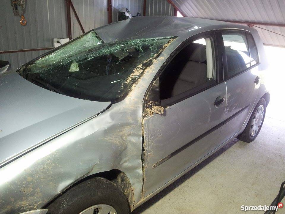 VW GOLF V USZKODZONY 2004r 19 TDI