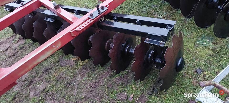 Talerzwka lubelskie Kock