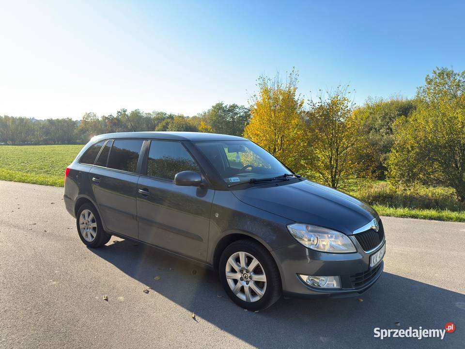 Skoda Fabia 16 TDI 2011