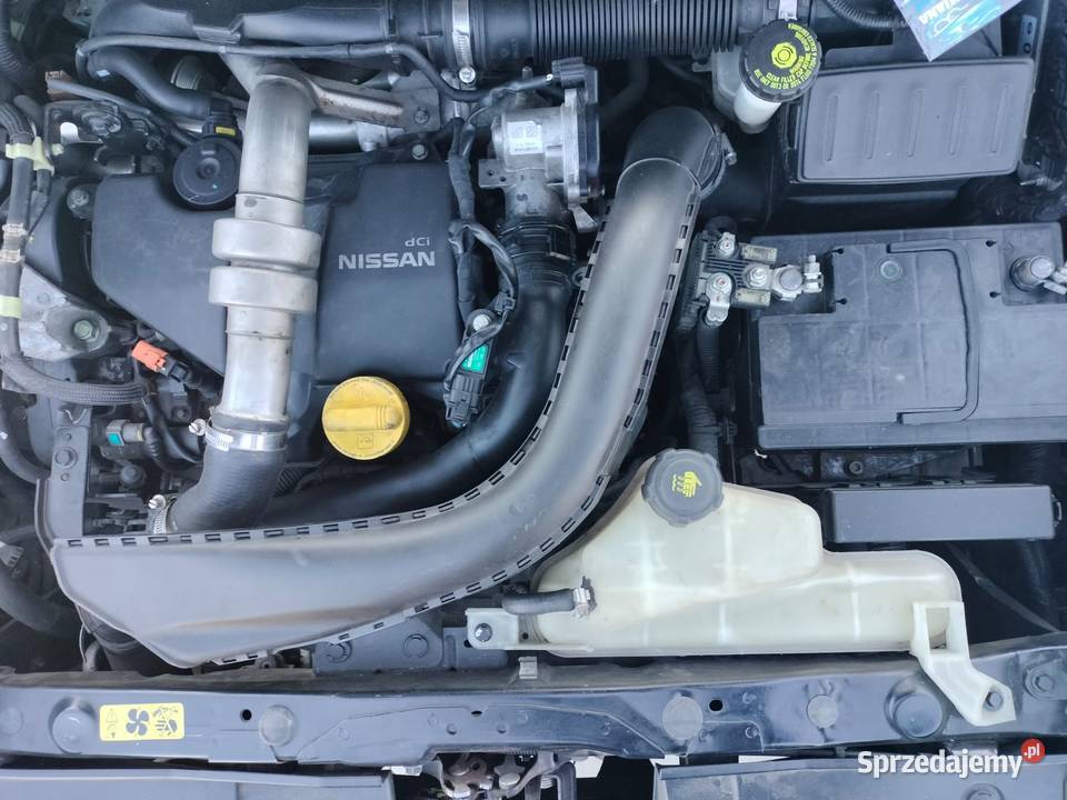 15 DCI manualna Juke