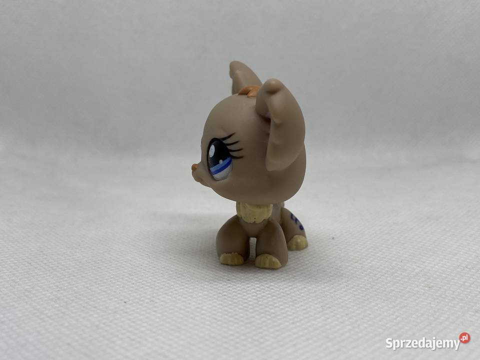 LPS Littlest pet shop pies chihuahua 1393 Hasbro Łódź