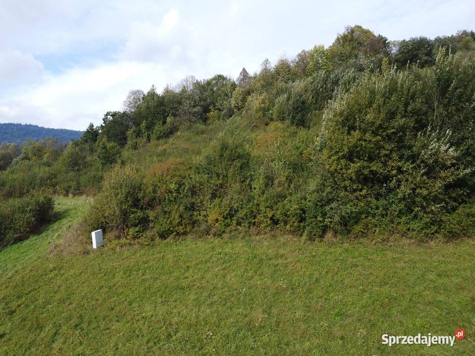 Działka budowlana w Bieszczadach w miejscowości Sprzedaż Baligród