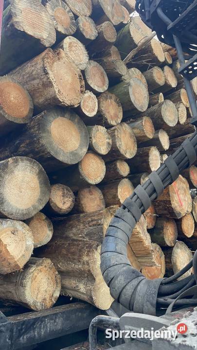 Drewno kominkowe i opałowe Opał