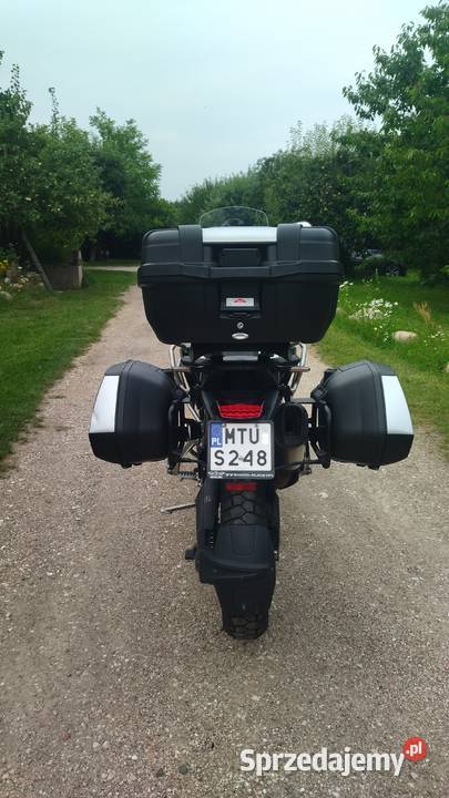 Triumph Tiger 900 GT PRO A2 doposażony biała Tuliszków