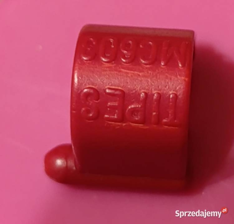 Mam czipy gołębiarskiec