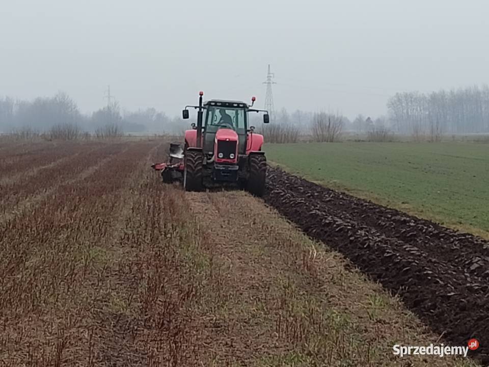 Siew kukurydzy usługi rolnicze Sokolniki sprzedam