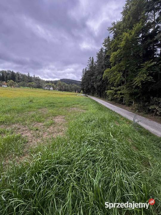 Działka budowlana Podłopień 1196 m gmina Tymbark małopolskie