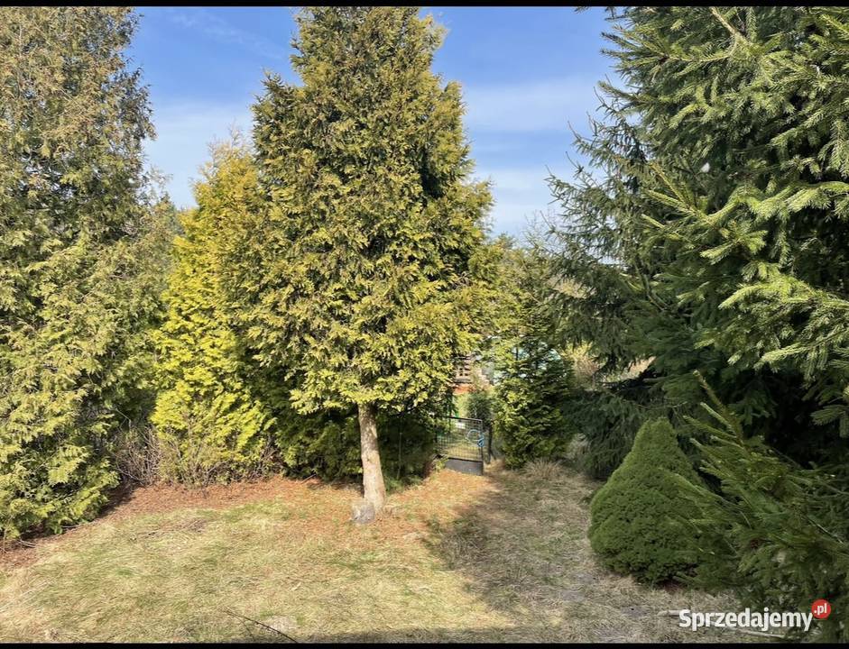 Działka ROD LAS Białołęka mazowieckie Warszawa