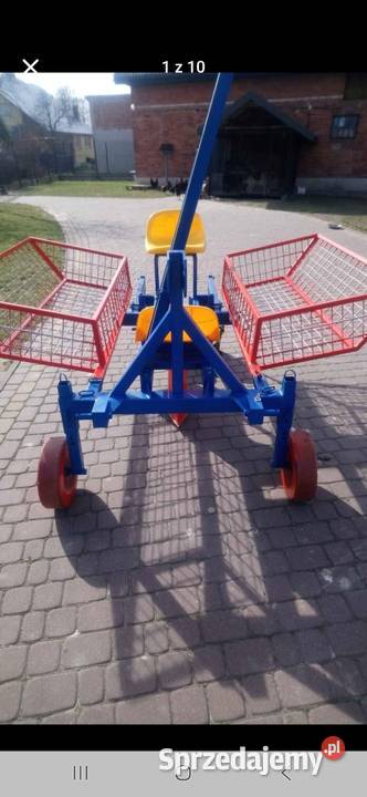 Sadzarka do porzeczki malin agrestu aronii Biłgoraj