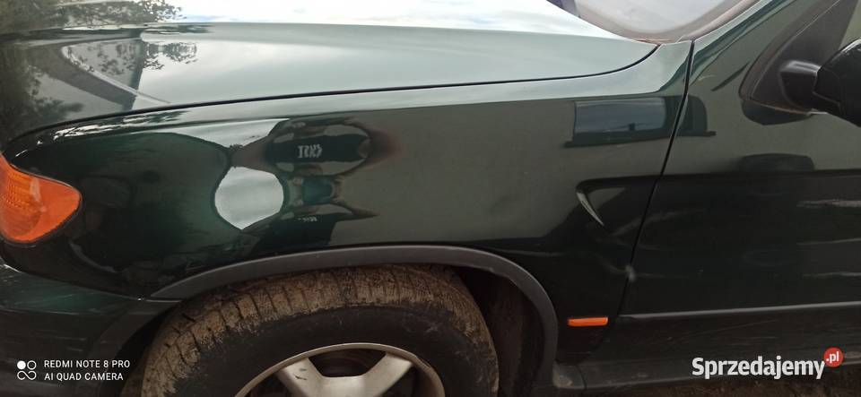 bmw x5 e53 oxfrordgruen błotnik lewy