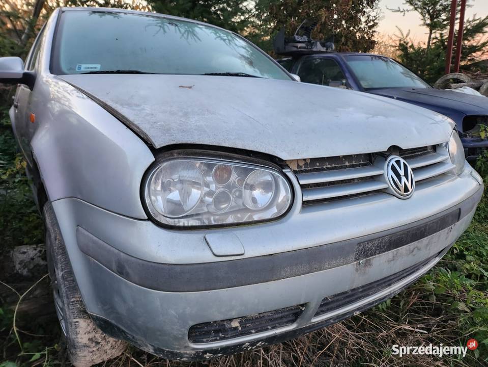 Golf 4 19 tdi alh na części części Bychawa
