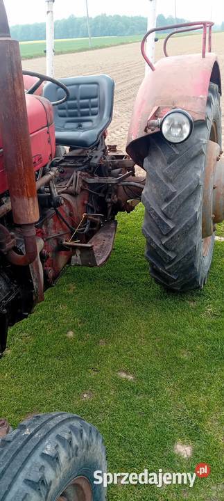 Massei ferguson 65 Zamość