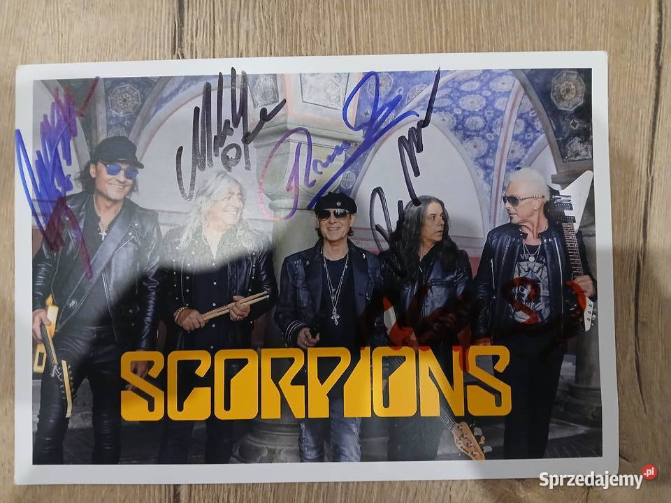 Scorpions Ostrowiec Świętokrzyski
