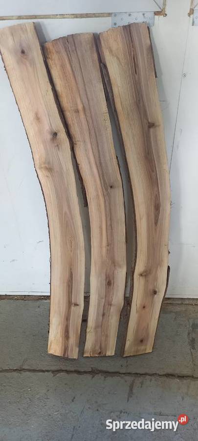 deska monolit ryba Błotnica Strzelecka