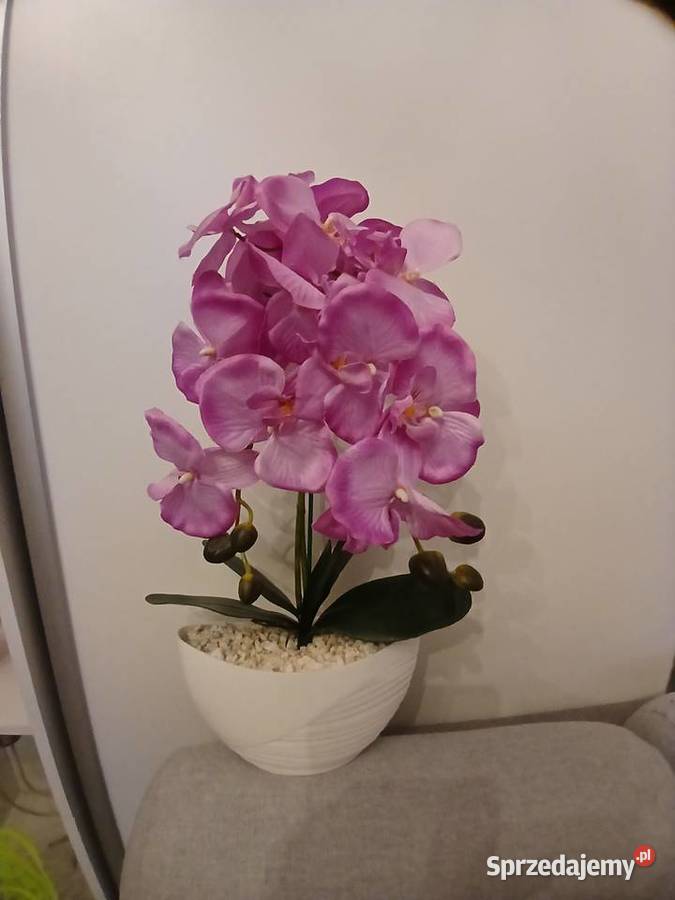 Storczyki sztuczne Zielona Góra