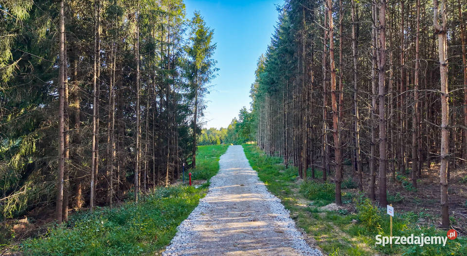 Sprzedam piękną działkę