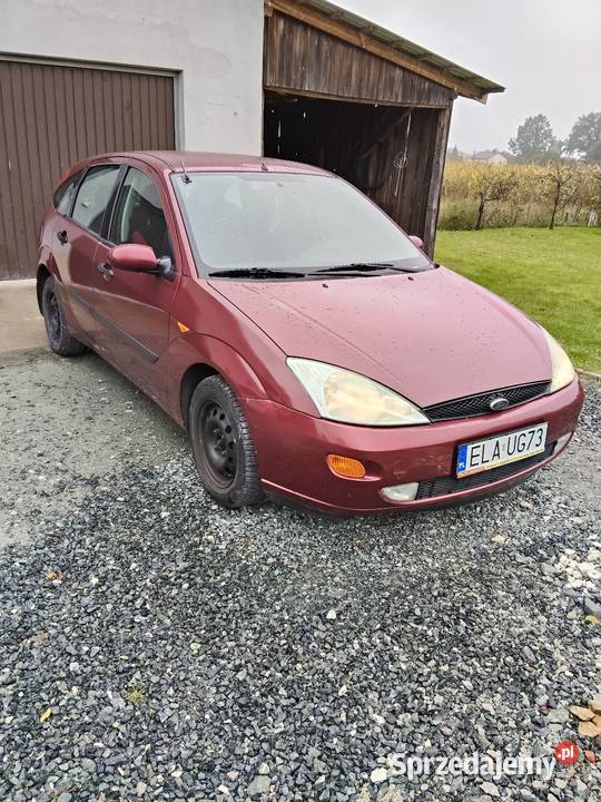 Sprawna Foczka małe pieniążki Łask sprzedam